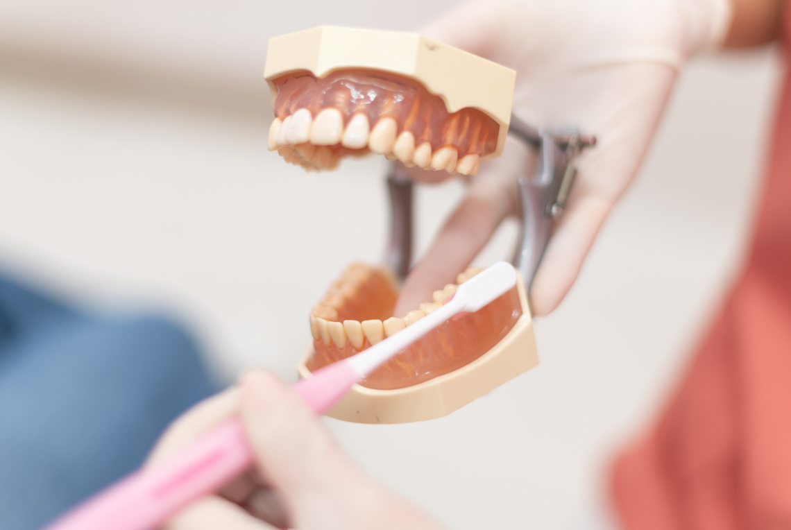 一日のスケジュール